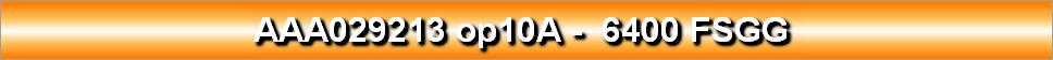 AAA029213 op10A -  6400 FSGG 