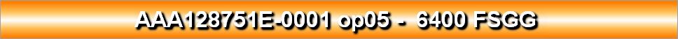 AAA128751E-0001 op05 -  6400 FSGG 