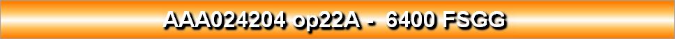 AAA024204 op22A -  6400 FSGG 
