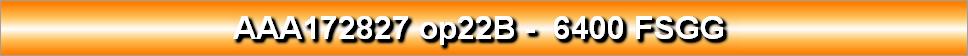 AAA172827 op22B -  6400 FSGG 
