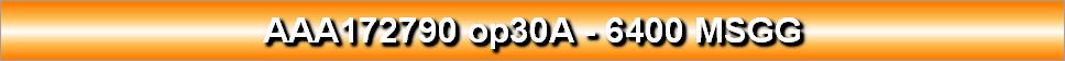 AAA172790 op30A - 6400 MSGG