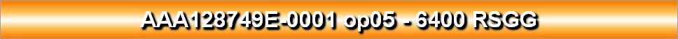AAA128749E-0001 op05 - 6400 RSGG