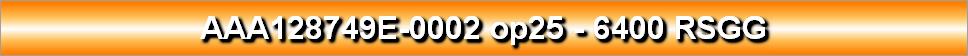 AAA128749E-0002 op25 - 6400 RSGG