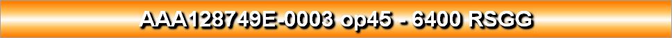 AAA128749E-0003 op45 - 6400 RSGG