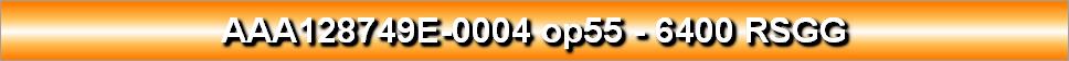 AAA128749E-0004 op55 - 6400 RSGG