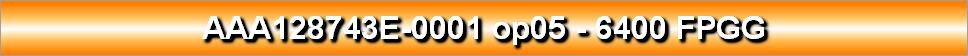 AAA128743E-0001 op05 - 6400 FPGG