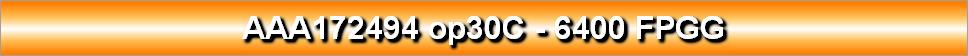 AAA172494 op30C - 6400 FPGG