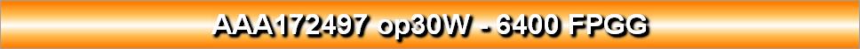 AAA172497 op30W - 6400 FPGG