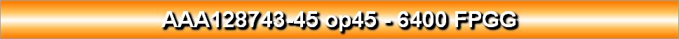 AAA128743-45 op45 - 6400 FPGG